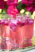 Rose cocktail