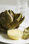 Cooked artichoke with hollandaise sauce