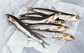Six anchovies on greaseproof paper