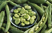 Broad beans, beans and pods