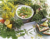 Rocket salad & toast triangles with soft cheese