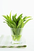 Fresh ramsons (wild garlic) leaves in a glass of water