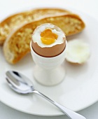 Boiled egg with bread