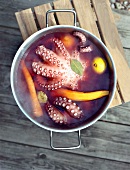 Octopus in wine