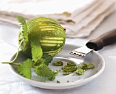 Lime with zester, zest and lemon balm