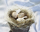 Duck eggs in Easter nest