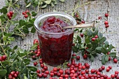 Cranberry jam 