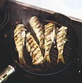 Herrings in grill pan