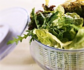 Mixed salad leaves in a salad spinner