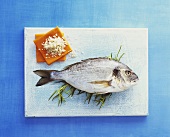 A sea bream on tarragon