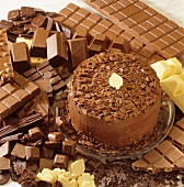 Schokoladen-Mokka-Torte von Schokolade umgeben