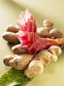 Ginger roots with a ginger flower