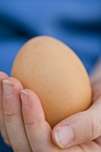 An egg lying in a child's hand