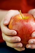Child's hands holding an apple