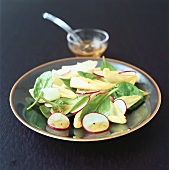 Chicory salad with spinach and radishes