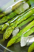 Cooked asparagus in iced water
