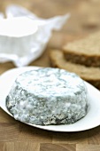 Goat's cheese