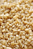 Cooked natural short-grain rice