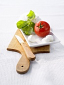 Tomatoes, mozzarella and basil on a platter