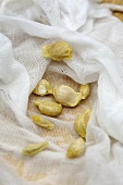 Orange and lemon pips in a muslin cloth