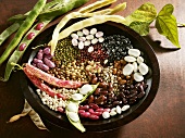 Different types of beans in a bowl