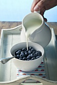 Pouring milk into a bowl of blueberries