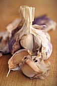 A dried garlic bulb