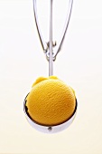 Mango sorbet in ice cream scoop