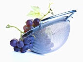 Purple grapes in a sieve