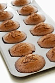 Chocolate madeleines (small French cakes)
