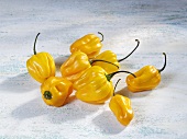 Yellow Habanero chillies