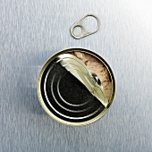 An opened tin of tuna