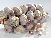 A garlic plait