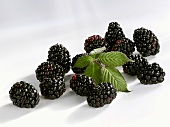 Blackberries with leaf