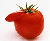 Eine Tomate mit 'Nase'