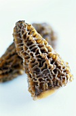 Two morels