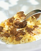 Pasta with cream sauce and truffles