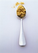 Curry powder on a spoon