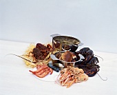 Various crustaceans
