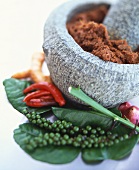 Curry paste in a mortar and assorted spices