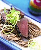 Udon noodles with tuna and spring onions (Japan)