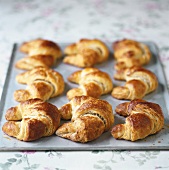 Croissants on a baking tray
