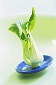 Pak choi standing on a plate