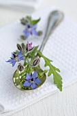 Borage flowers and rocket on a silver spoon