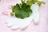 Peeling glove on towels with lady's mantle
