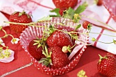 Strawberries and wild strawberries in muffin case
