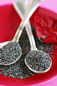 Two spoonfuls of poppy seeds on a plate