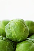 Fresh Brussels sprouts