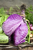 Pointed red cabbage on assorted vegetables
