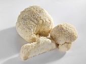 Affenkopfpilze (Hericium erinaceus)